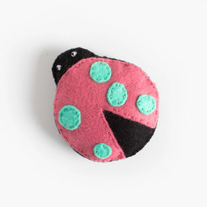 Addie the Unusual Ladybug - Diy Craft Kit